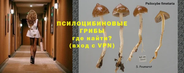 тгк Костерёво