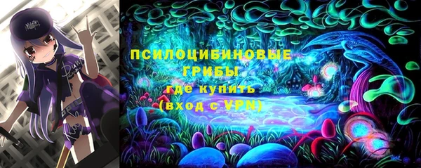 меф Коряжма