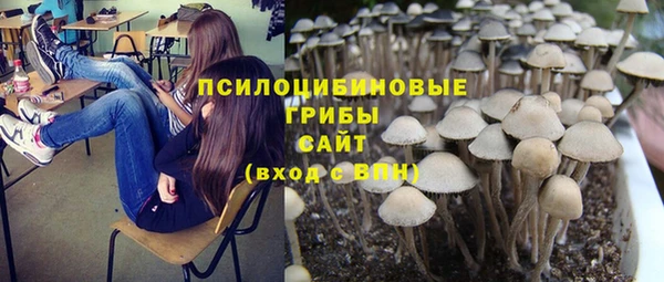 тгк Костерёво