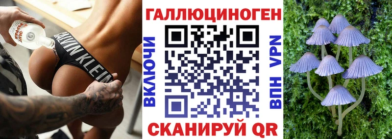 Галлюциногенные грибы GOLDEN TEACHER  Купить  Козельск 